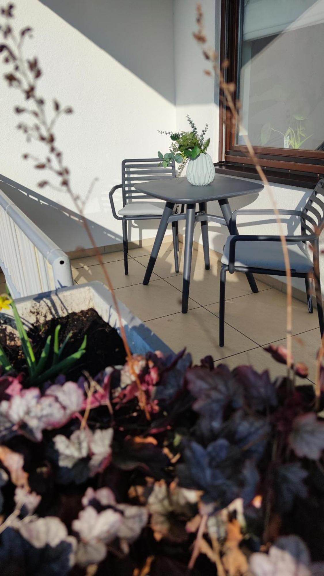 Rooftop In Bei Strasbourg Apartment *